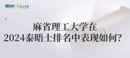 麻省理工大学在2024泰晤士排名中表现如何？