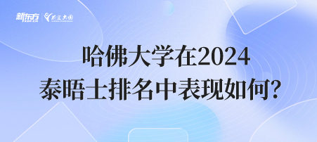 哈佛大学在2024年泰晤士排名中表现如何？
