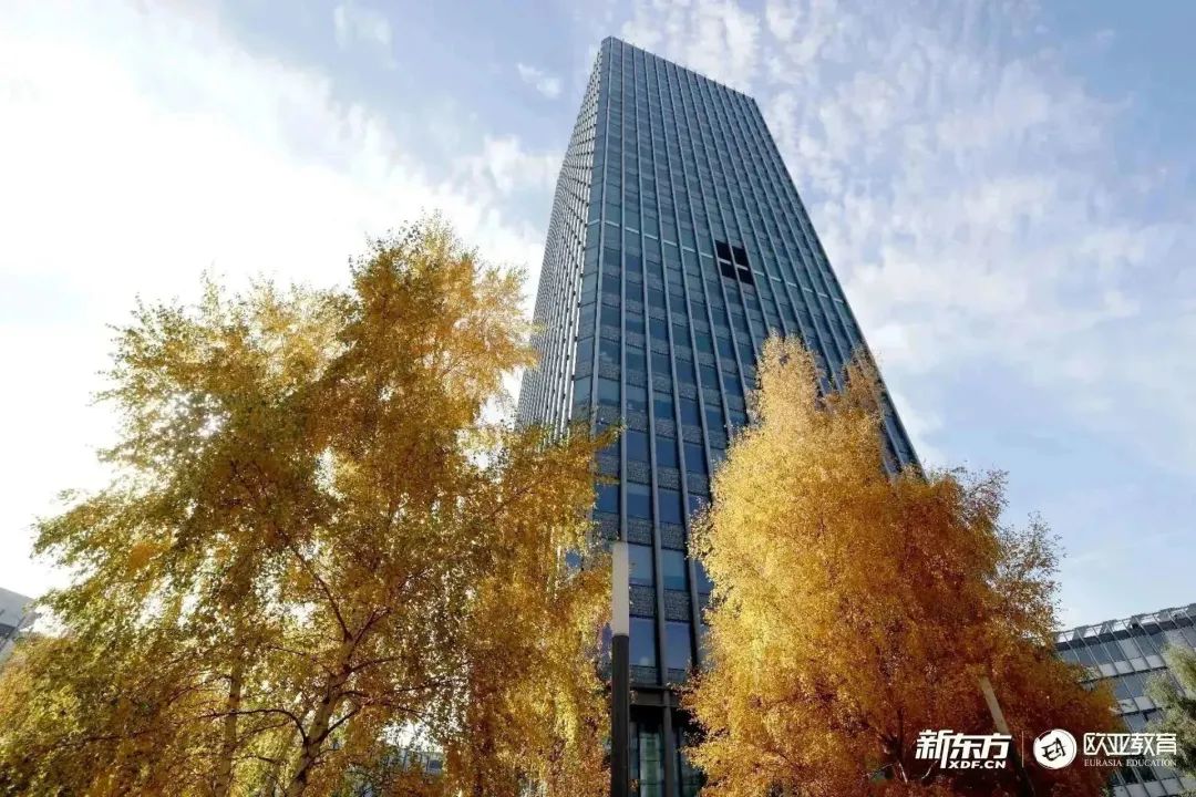 数学加语言科学,强裂推荐索邦大学独特专业