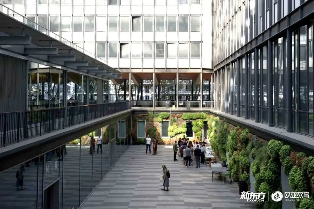数学加语言科学,强裂推荐索邦大学独特专业