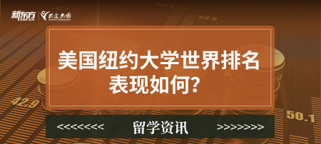 美国纽约大学世界排名表现如何?
