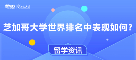 芝加哥大学世界排名中表现如何?