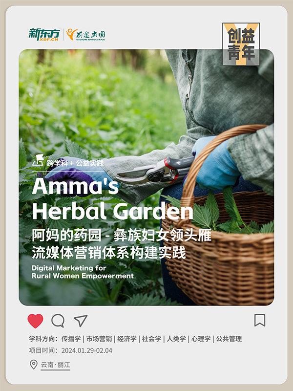 【背景提升项目】阿妈的药园- 彝族妇女领头雁 流媒体营销体系构建实践