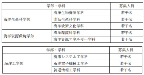 2024年内日本报名入学，主打的就是效率！