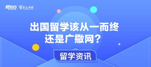 出国留学该从一而终还是广撒网？