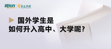 国外学生是如何升入高中、大学呢？