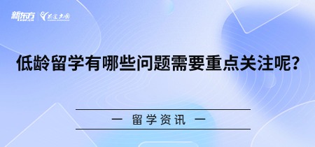 低龄留学有哪些问题需要重点关注呢？