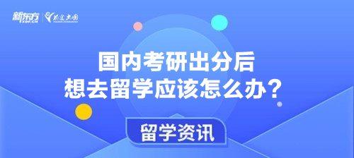 国内考研出分后想去留学应该怎么办？