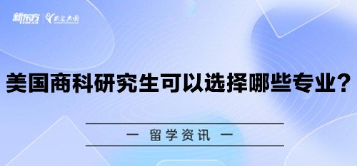 美国商科研究生可以选择哪些专业?