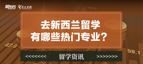 去新西兰留学有哪些热门专业？