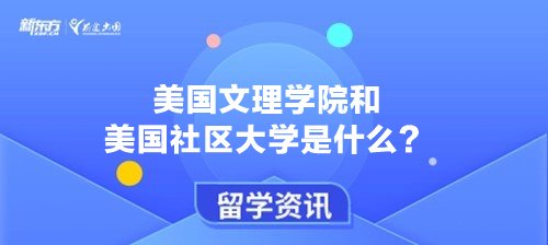 美国文理学院和美国社区大学是什么？