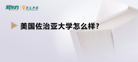 美国佐治亚大学怎么样？