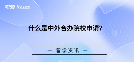 什么是中外合办院校申请？