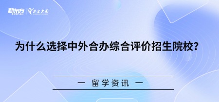 为什么选择中外合办综合评价招生院校？