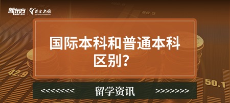 国际本科和普通本科区别？