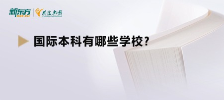 国际本科有哪些学校？