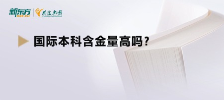 国际本科含金量高吗？