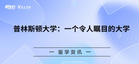 普林斯顿大学：一个令人瞩目的大学