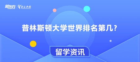 普林斯顿大学世界排名第几？
