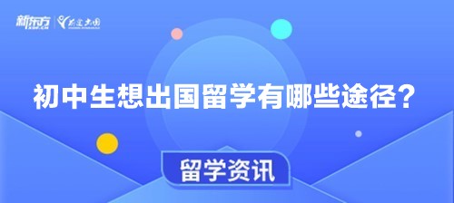 初中生想出国留学有哪些途径？