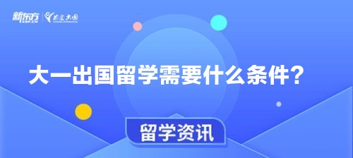 大一出国留学需要什么条件？