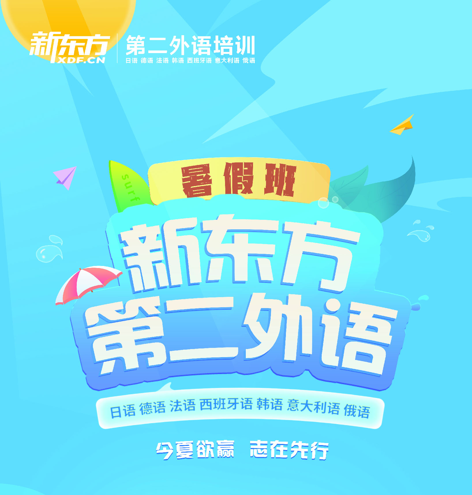 2024新东方小语种暑假班更新上线啦！