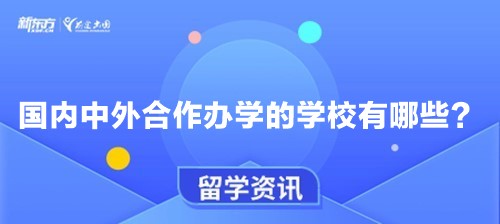 国内中外合作办学的学校有哪些？