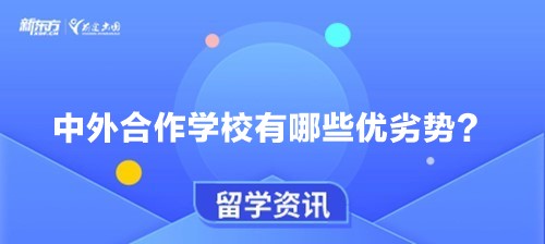 中外合作学校有哪些优劣势？