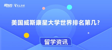 美国威斯康星大学世界排名第几？