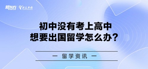 初中没有考上高中想要出国留学怎么办？