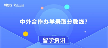 中外合作办学录取分数线？