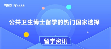 公共卫生博士留学的热门国家选择