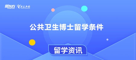 公共卫生博士留学条件