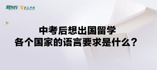 【新疆留学】中考后想出国留学各个国家的语言要求是什么？