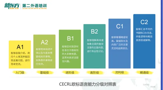 顺利通过法语B2,武汉理工大学学子经验分享