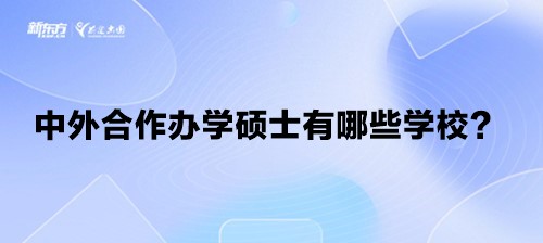 中外合作办学硕士有哪些学校？