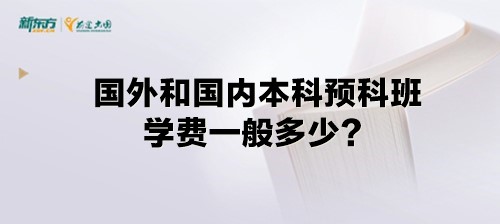 国外和国内本科预科班学费一般多少？