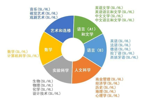【留学】低龄留学AP和IB课程到底有什么区别？如何选择？