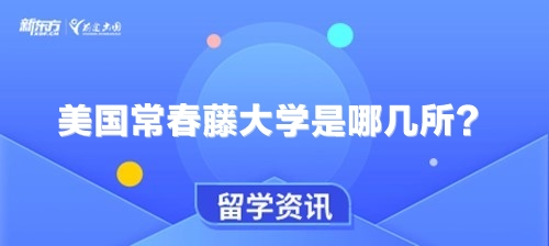 美国常春藤大学是哪几所？