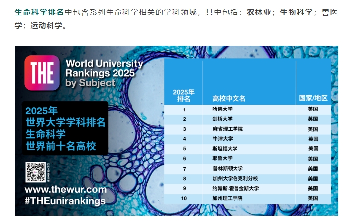 【留学】2025THE学科排名揭榜！