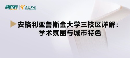 安格利亚鲁斯金大学三校区详解:学术氛围与城市特色