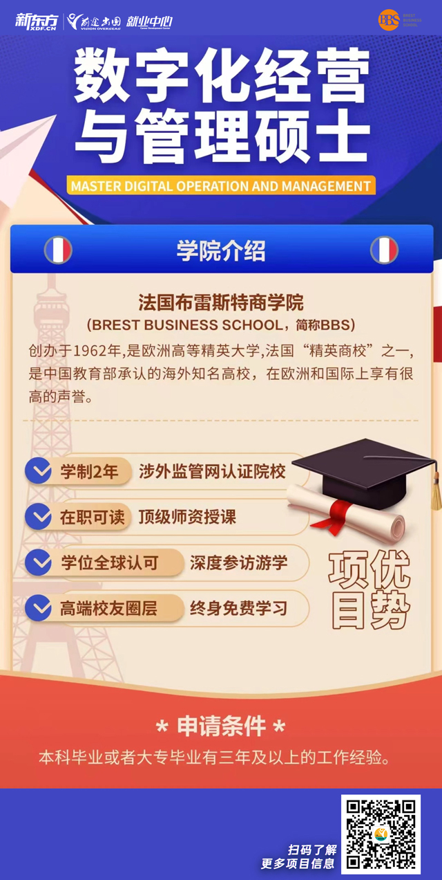 法国布雷斯特商学院数字化经营与管理硕士