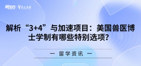 解析“3+4”与加速项目：美国兽医博士学制有哪些特别选项？