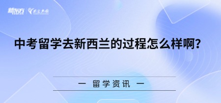 中考留学去新西兰的过程怎么样啊？
