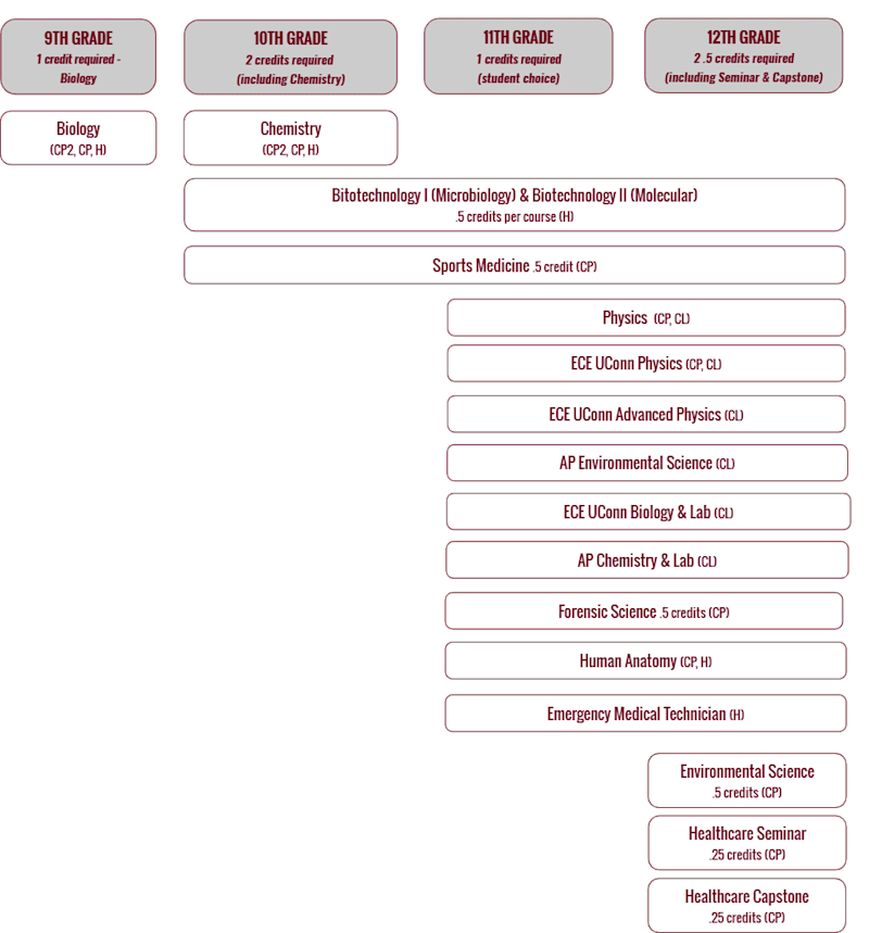 圣约瑟夫高中Healthcare Pathway：以生命科学为支点，解锁跨学科多元方向