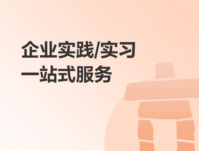 企业实习实践项目