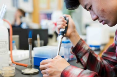 【新东方冲顶计划】TOP30美高巡礼-Phillips Academy Andover