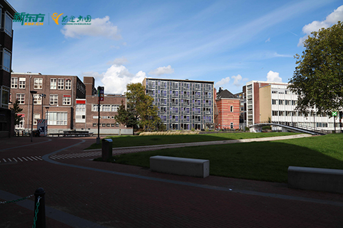 荷兰预科取消无通道？新东方 H 类大一衔接课程，1 年后直转 U 类本科