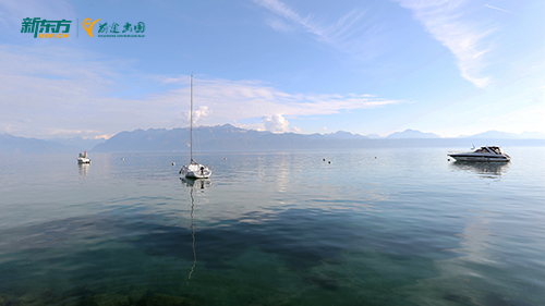 双非建筑 70 分 = 留学无望？新东方逆袭路径