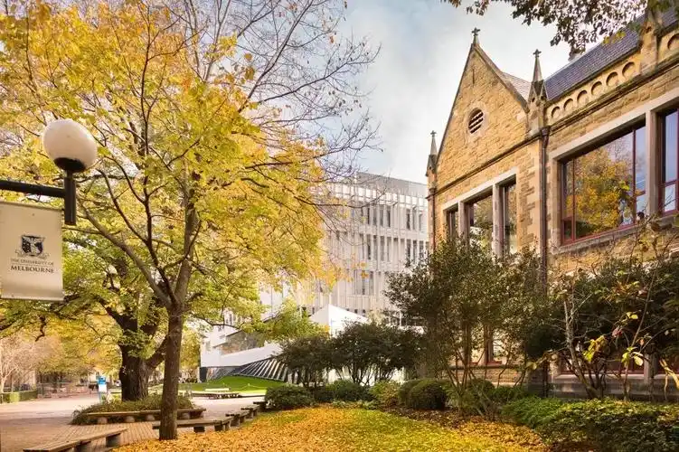 485分高考成绩！8个月预科敲开墨尔本大学商科大门